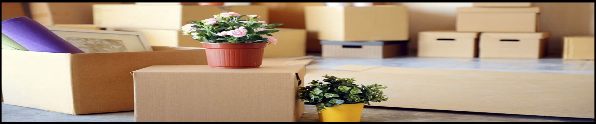 Packers And Movers Noida Sector 98